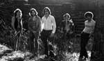 The Fraank Band